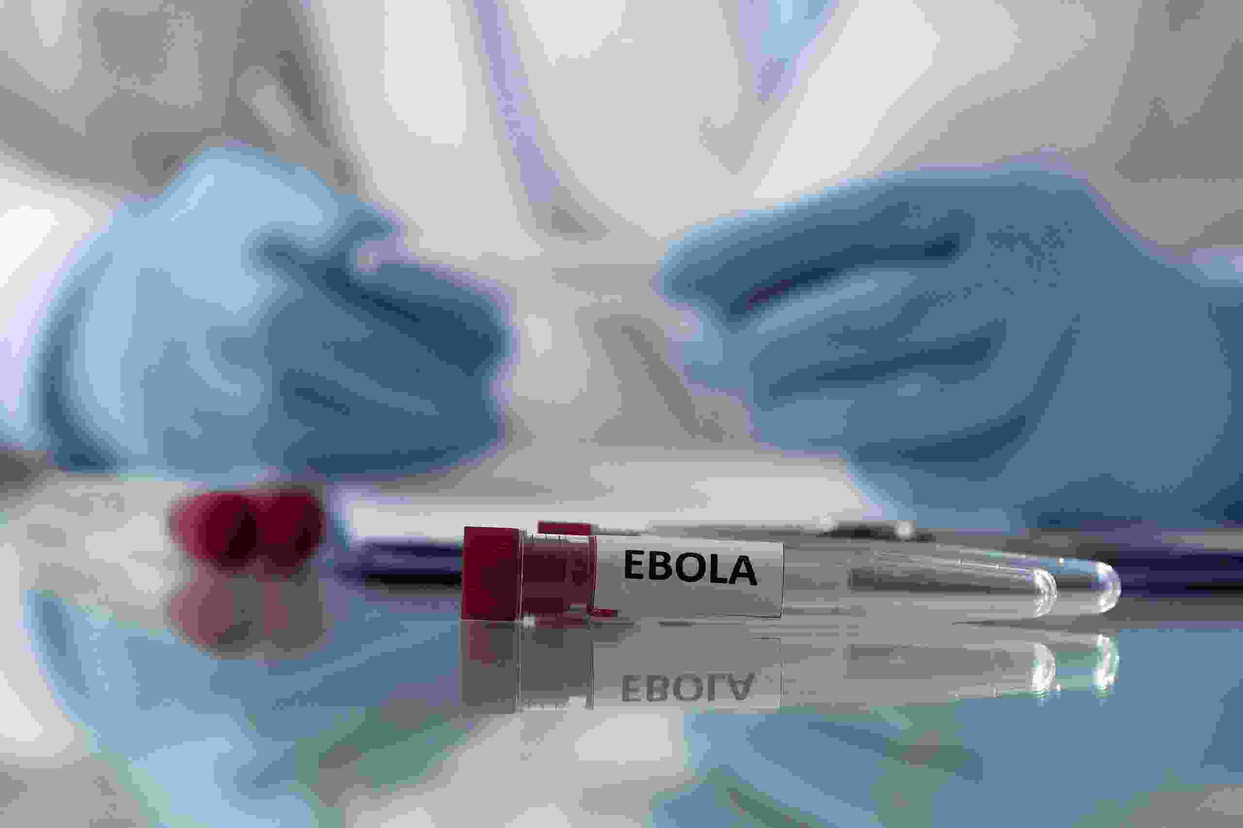Outbreak